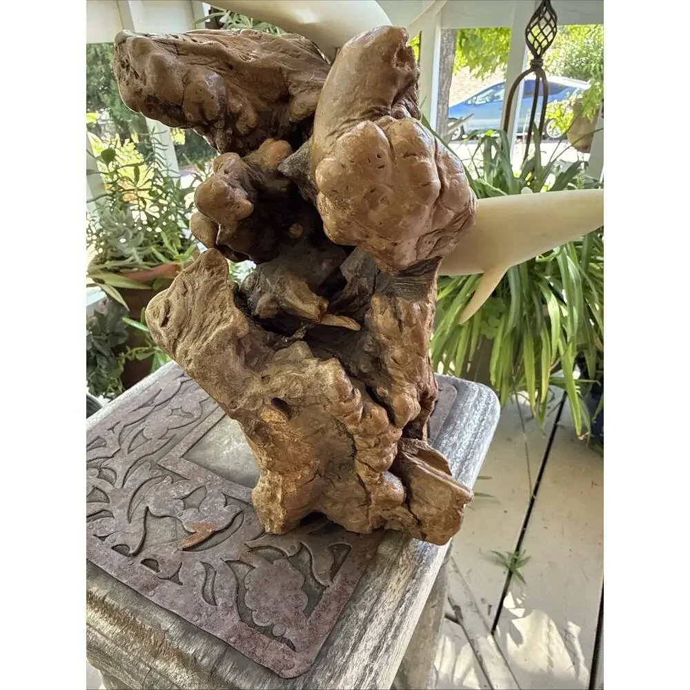 Vintage John Perry Dual Shark Sculpture Great White/Mako Complex Burl Wood Base